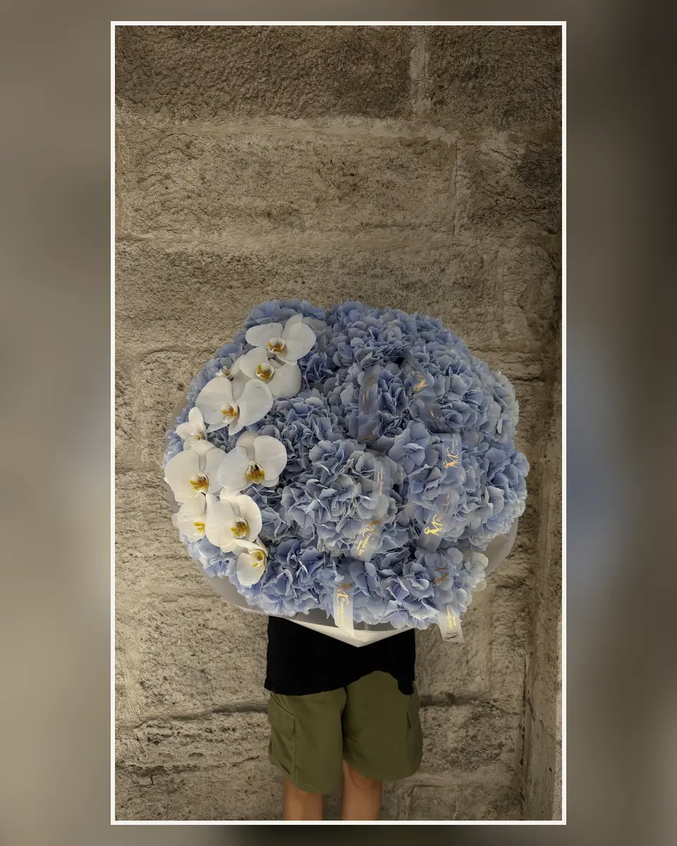 Hydrangea Designs