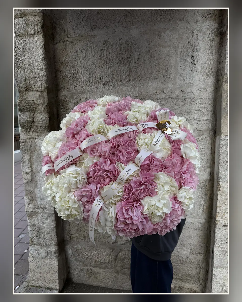 Couture Hydrangea — MC Premium Flowers