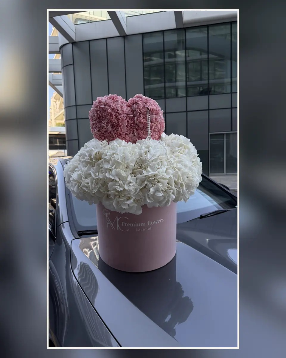 Flower Boxes